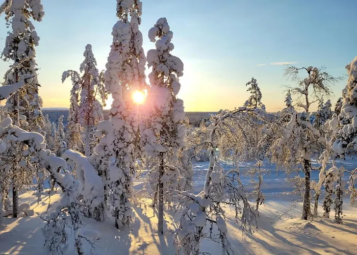 The Copper Nest By Hilla Вилла Саариселькя